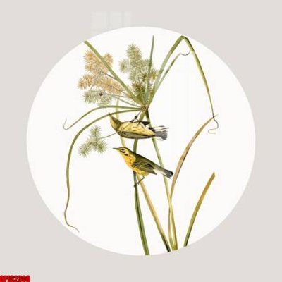 File in trần file tranh bộ decor in treo tường tráng gương OPIC2300 (bản gốc) mây trời