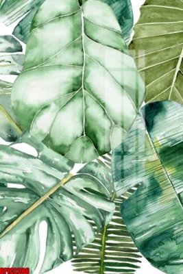 File in trần file tranh bộ decor in treo tường tráng gương OPIC2306 (bản gốc) mây trời