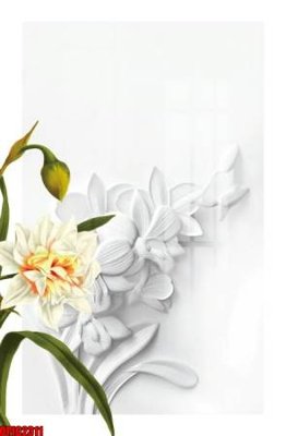 File tranh in tráng gương file tranh bộ decor in treo tường tráng gương OPIC2311 (siêu nét)