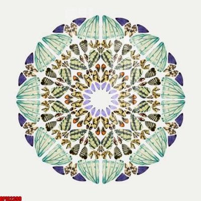 File gốc file tranh bộ decor in treo tường tráng gương OPIC2399 (cho in ấn) độc quyền