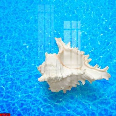 Tệp tin gốc file tranh bộ decor in treo tường tráng gương OPIC270 (dùng cho in) file tranh bộ decor in treo tường tráng gương OPIC270