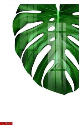 File gốc file tranh bộ decor in treo tường tráng gương OPIC2742 (PNG) nền trong suốt