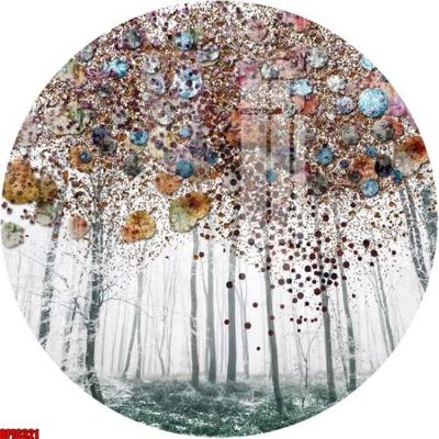 File ảnh file tranh bộ decor in treo tường tráng gương OPIC321 (gốc) in Hiflex