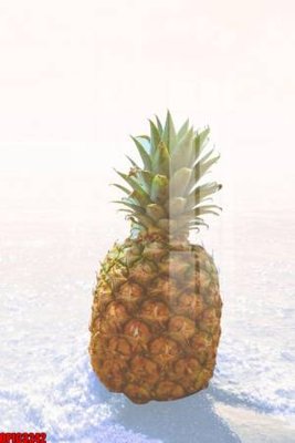 File gốc file tranh bộ decor in treo tường tráng gương OPIC3242 (cho in ấn) từ kho Filetranh