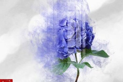 Tệp tin gốc file tranh bộ decor in treo tường tráng gương OPIC3278 (chất lượng cao) file tranh bộ decor in treo tường tráng gương OPIC3278