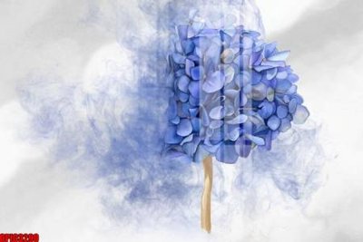 File tranh file tranh bộ decor in treo tường tráng gương OPIC3290 (bản gốc) in lụa dán tường