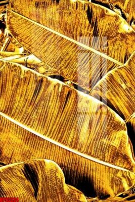 File PSD file tranh bộ decor in treo tường tráng gương OPIC334 (gốc) tách lớp chi tiết