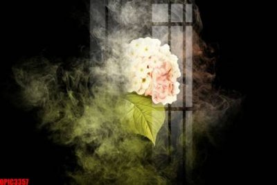 File tranh file tranh bộ decor in treo tường tráng gương OPIC3357 (gốc) in backlit film