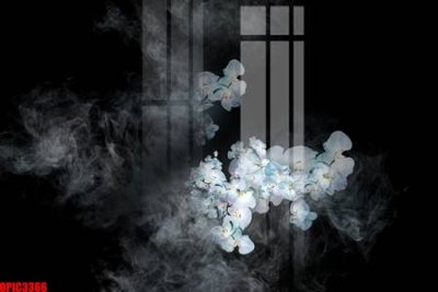 File gốc file tranh bộ decor in treo tường tráng gương OPIC3366 (cho in UV) siêu nét