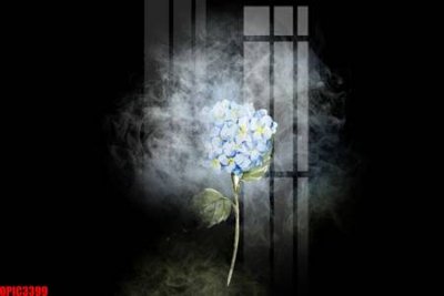 File tranh ảnh gốc file tranh bộ decor in treo tường tráng gương OPIC3399 dùng cho in khổ lớn