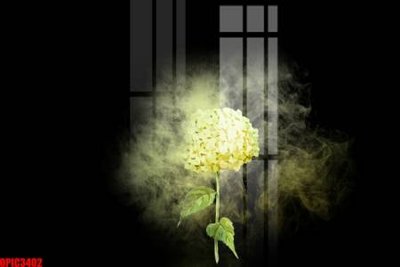 File PSD file tranh bộ decor in treo tường tráng gương OPIC3402 (bản gốc) dễ dàng edit