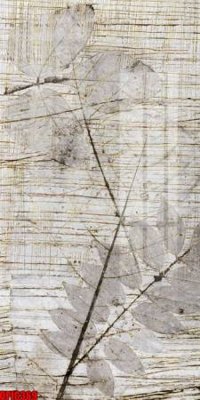 File gốc in mica file tranh bộ decor in treo tường tráng gương OPIC369 chất lượng