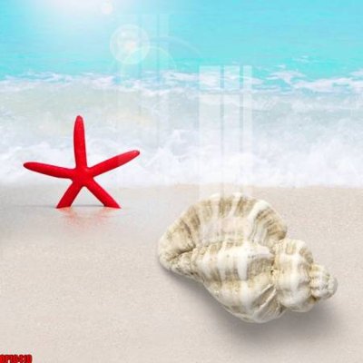 File tranh file tranh bộ decor in treo tường tráng gương OPIC410 (gốc) in film