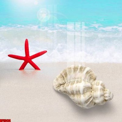 File tranh gốc in trần nhà file tranh bộ decor in treo tường tráng gương OPIC414 3D