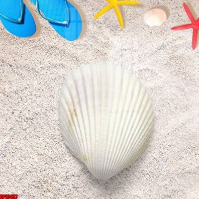 File tranh quảng cáo file tranh bộ decor in treo tường tráng gương OPIC437 (download file gốc)