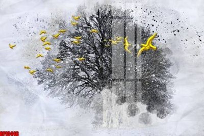 File in ấn cao cấp file tranh bộ decor in treo tường tráng gương OPIC446 (file gốc)