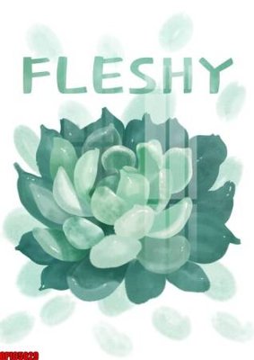 Ảnh gốc file tranh bộ decor in treo tường tráng gương OPIC5029 (siêu chi tiết) để in ấn