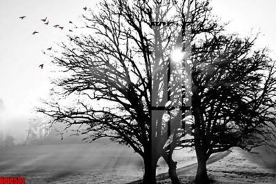 File PSD file tranh bộ decor in treo tường tráng gương OPIC522 (chất lượng in ấn)