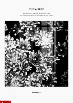 File in mica file tranh bộ decor in treo tường tráng gương OPIC5634 (bản gốc) sắc sảo