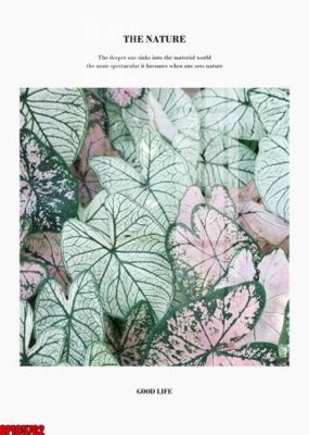 File ảnh file tranh bộ decor in treo tường tráng gương OPIC5702 (gốc) in standee