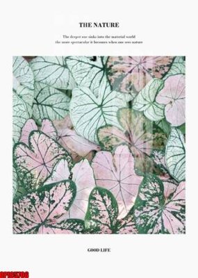 File gốc file tranh bộ decor in treo tường tráng gương OPIC5706 (ảnh rõ nét) để in