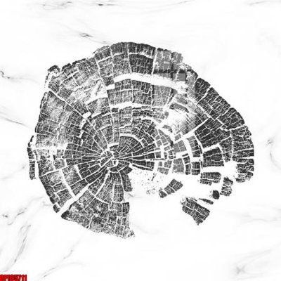 File gốc file tranh bộ decor in treo tường tráng gương OPIC5711 (PNG) chất lượng cao