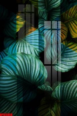 File gốc file tranh bộ decor in treo tường tráng gương OPIC5859 (bản quyền) cho in ấn