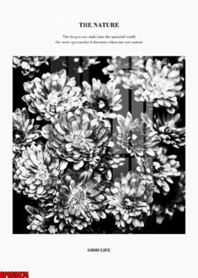 Tải file file tranh bộ decor in treo tường tráng gương OPIC5874 (gốc) làm tranh treo tường