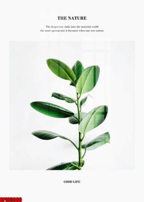 File tranh file tranh bộ decor in treo tường tráng gương OPIC5900 (gốc) chủ đề tĩnh vật