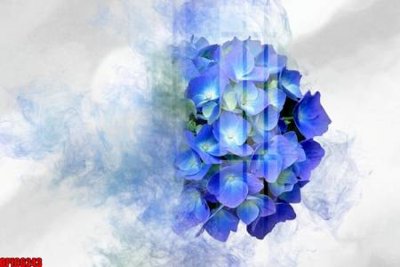 File gốc file tranh bộ decor in treo tường tráng gương OPIC6243 (PNG) nền trong suốt