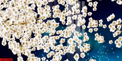 File gốc file tranh bộ decor in treo tường tráng gương OPIC6273 (in mica) làm bảng hiệu