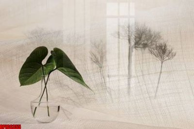 Tải file file tranh bộ decor in treo tường tráng gương OPIC6355 (gốc) làm tranh treo tường