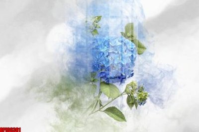 File in trần file tranh bộ decor in treo tường tráng gương OPIC6361 (bản gốc) đại dương