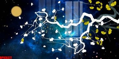 Download file tranh file tranh bộ decor in treo tường tráng gương OPIC6377 (file gốc PSD)