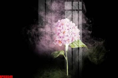 Tải file gốc file tranh bộ decor in treo tường tráng gương OPIC6549 (bản PSD) gốc