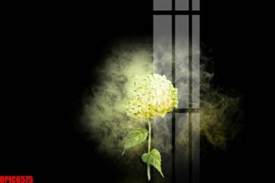 File ảnh file tranh bộ decor in treo tường tráng gương OPIC6575 (gốc) in poster