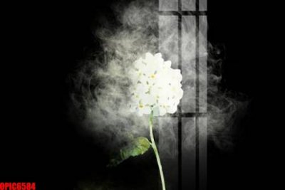 File tranh in tráng gương file tranh bộ decor in treo tường tráng gương OPIC6584 (siêu nét)