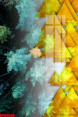 File tranh in trần 3D file tranh bộ decor in treo tường tráng gương OPIC6588 (ảnh gốc)