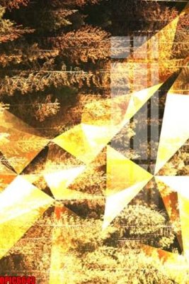 Download file gốc file tranh bộ decor in treo tường tráng gương OPIC6643 (in lụa) nghệ thuật