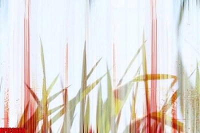 File PSD file tranh bộ decor in treo tường tráng gương OPIC6660 (gốc) nhiều lớp (multi-layer)