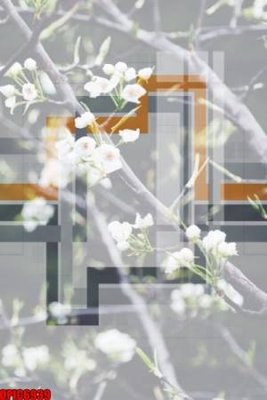 File tranh file tranh bộ decor in treo tường tráng gương OPIC6939 (ảnh gốc) độc quyền