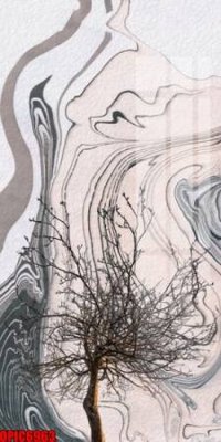 File in ấn cao cấp file tranh bộ decor in treo tường tráng gương OPIC6963 (file gốc)