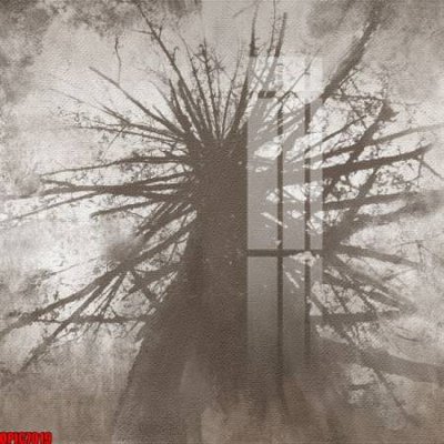 File in lụa file tranh bộ decor in treo tường tráng gương OPIC7019 (tân cổ điển) file tranh bộ decor in treo tường tráng gương OPIC7019