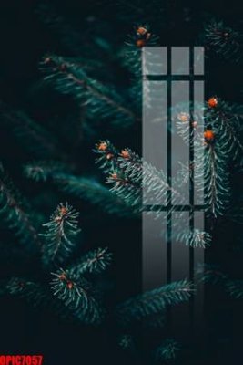 File tranh file tranh bộ decor in treo tường tráng gương OPIC7057 (file gốc) chuẩn màu in