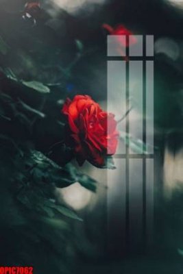 File tranh file tranh bộ decor in treo tường tráng gương OPIC7062 (bản gốc) in lụa 5D