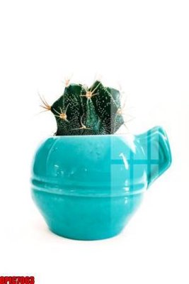 Tải file file tranh bộ decor in treo tường tráng gương OPIC7063 (gốc) làm file in ấn