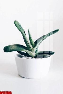 Download file gốc file tranh bộ decor in treo tường tráng gương OPIC7066 (in mica) 3D