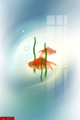 File tranh gốc file tranh bộ decor in treo tường tráng gương OPIC7233 (sắc nét từng chi tiết)