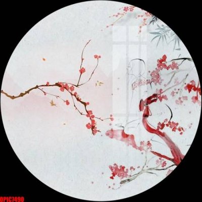 File tranh file tranh bộ decor in treo tường tráng gương OPIC7490 (ảnh gốc) độc quyền