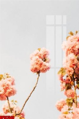 File PSD file tranh bộ decor in treo tường tráng gương OPIC7549 (bản gốc) đã tách nền